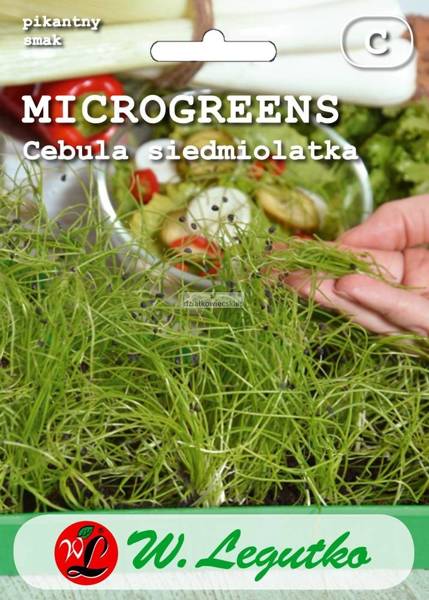 Cebula siedmiolatka (4 g) - Microgreens 