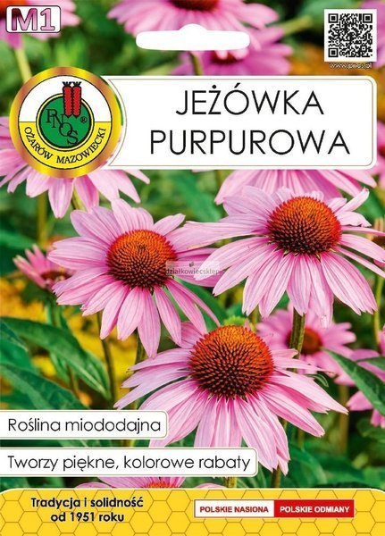 Jeżówka Purpurowa (1 g) - Roślina Miododajna